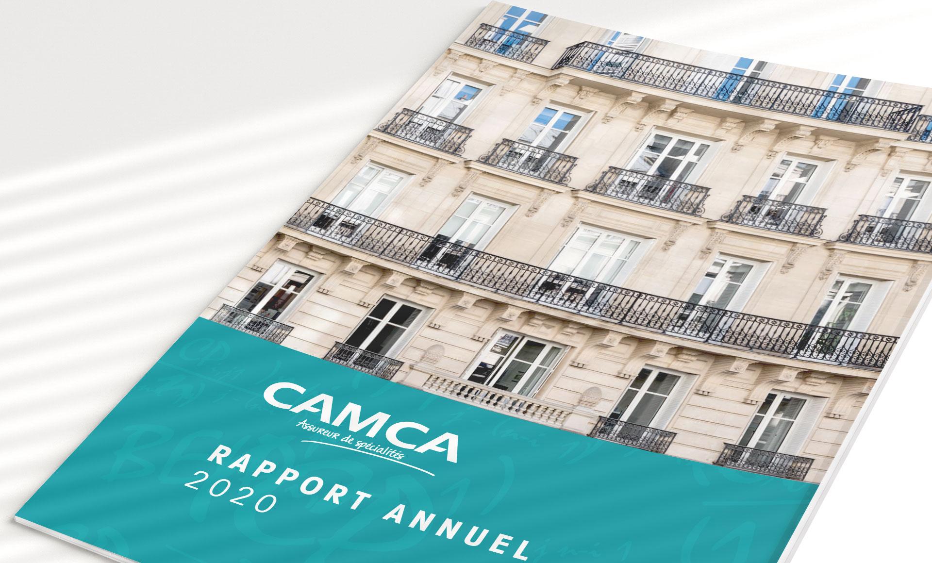 Camca, Rapport annuel 2020